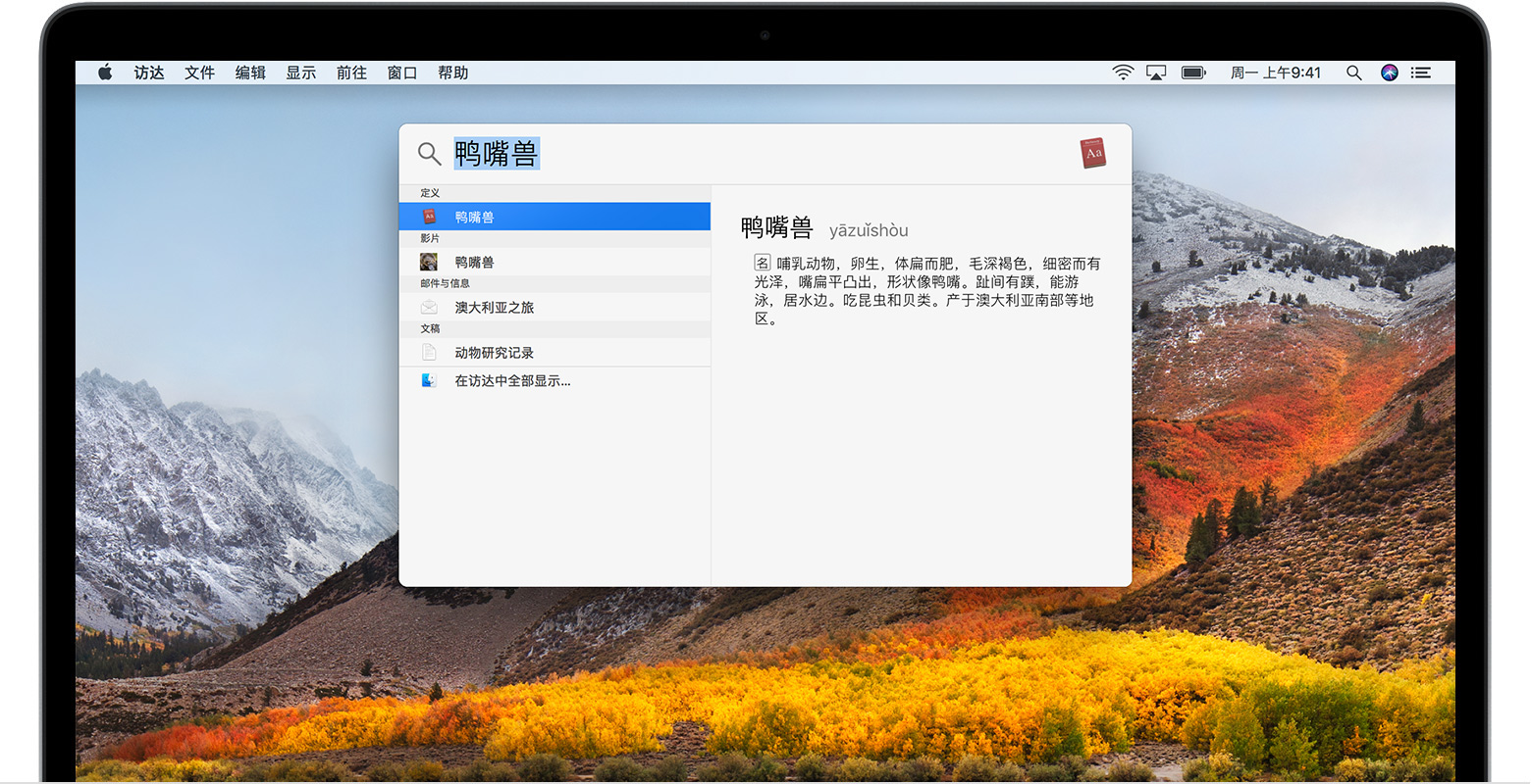 “聚焦”中的定义查找