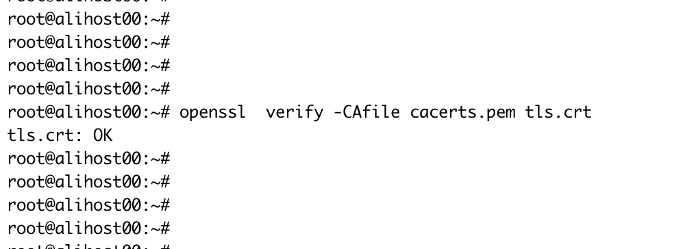 自签名 SSL 证书